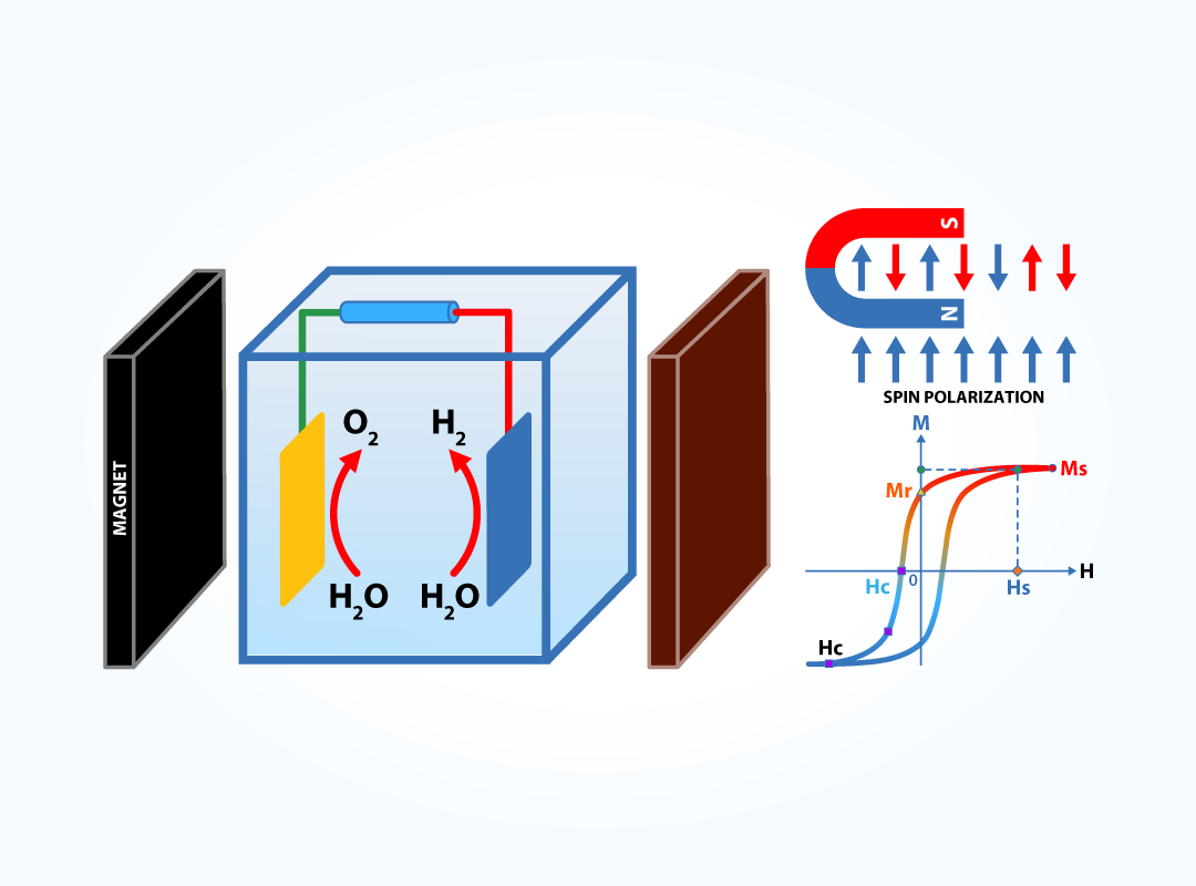 Spin Catalysis